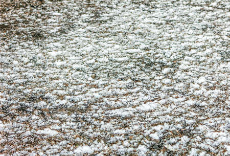 First snow on ground at cloudy day