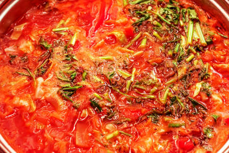 Fresh appetite russian soup with fresh herbs