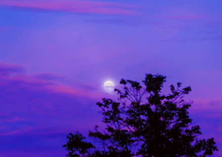 Tender moon in haze of purple sunset summer skyの写真素材