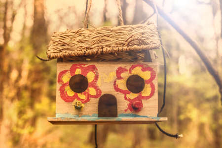 Wooden bird feeder house on branch at spring day