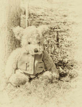 Toy Teddy bear sits woods in sepia forestの写真素材