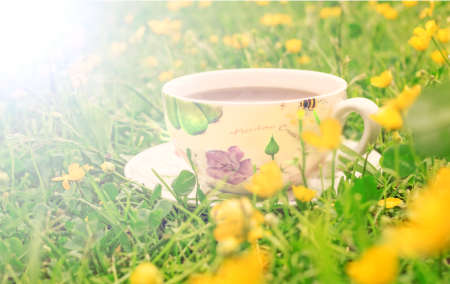 Cup of tea on saucer among yellow flowers on grass