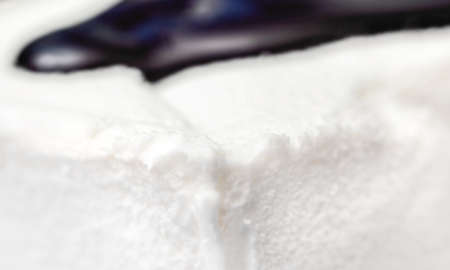 Fresh white ice cream with chocolate sauceの写真素材