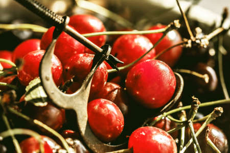Great remove seeds from ripe red cherries