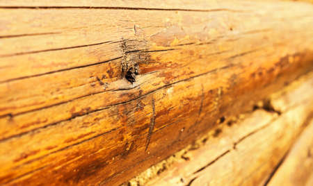 Nice yellow orange logs wooden frame largeの写真素材