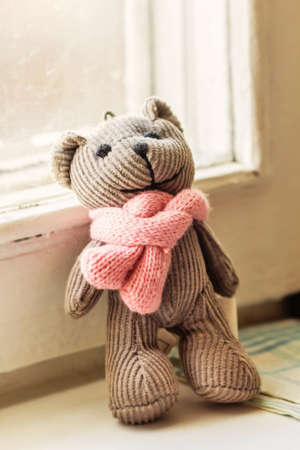 Grey teddy bear with pink scarf on windowの写真素材