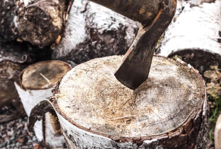 Axe in wood at fall cloudy weather