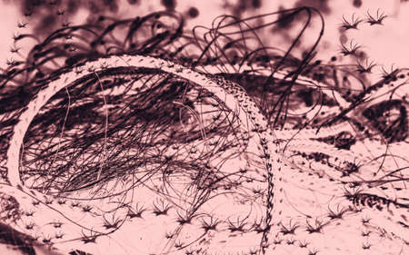 Abstraction in dark inflamed shades for designの写真素材