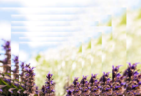 Faces and prospects for development of nature, like fantasyの写真素材