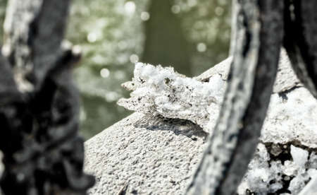 Last snow in sunny embankment at clear day