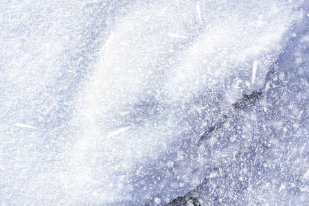 Tender snow falls on snow at winter weatherの写真素材