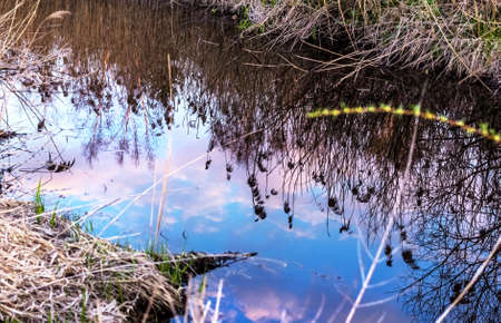 Beauty spring evening sky reflected in clear waterの写真素材