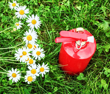 Red fire extinguisher and fresh camomilles on green summer grassの写真素材