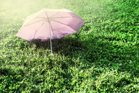 Pink outdoor opened umbrella on green summer lawnの写真素材