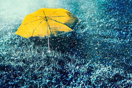 Personal abstraction yellow umbrella in tender snowの写真素材