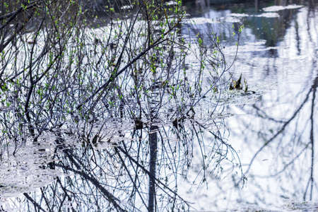 Cold spring water in river at day