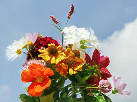 Beauty happy bouquet on blue sky background at day for presentの写真素材