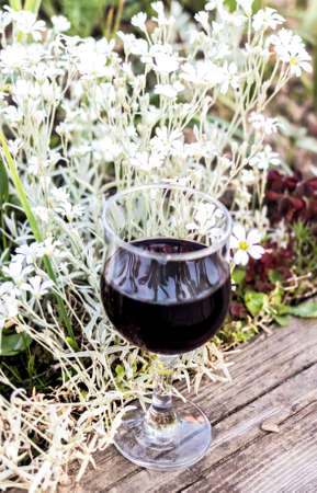 Romantic solo red wine in glass and white flowersの写真素材