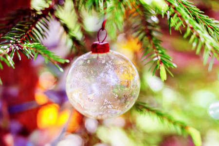 Vintage transparent Christmas ball on branch in lightsの写真素材