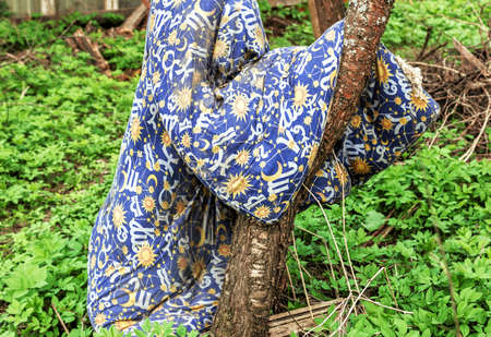 Blue old blanket on tree at spring day