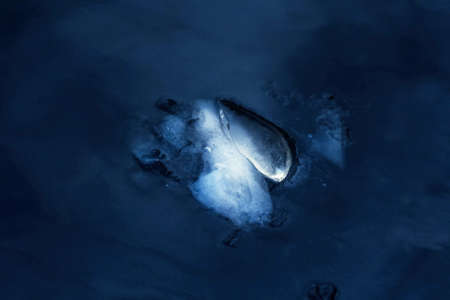 Great elegant original ice in deep dark waterの写真素材