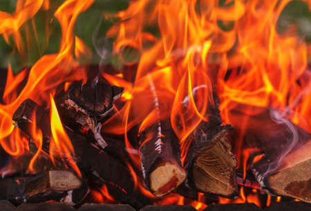 Wooden logs in bright fire for better cozy time