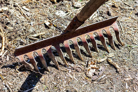 Metal rake on ground for working on sunny dayの写真素材