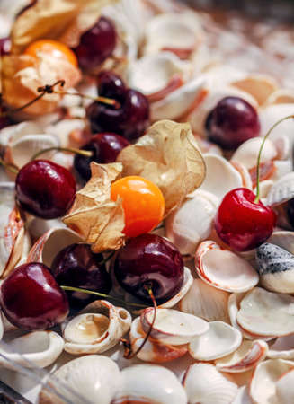 Ripe fresh cherries, physalis and white sea shells like fantasyの写真素材