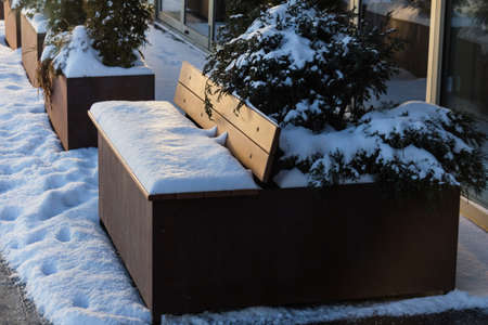 Real charming benches in snow sunset light winter best eveningの写真素材