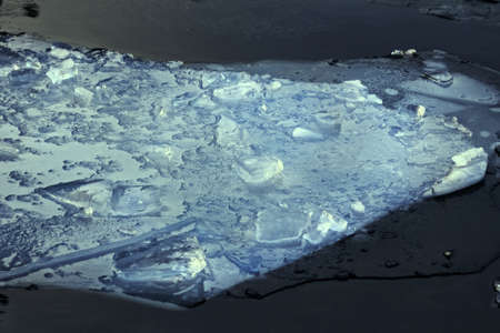 Real beauty blue ice floe in dark water at winter day