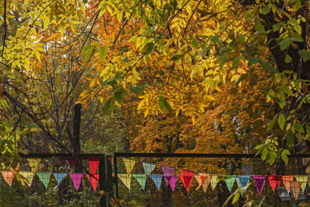 Pretty fall deep yellow autumn leaves and colorful flags for holiday moodの写真素材