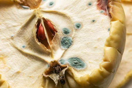 Real mold on apple is large like symbol of dangerousの写真素材