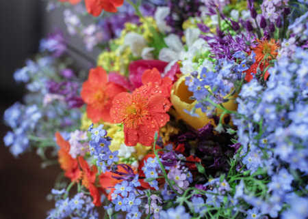 Real amazing multicolored bouquet of spring flowers for lovely moodの写真素材