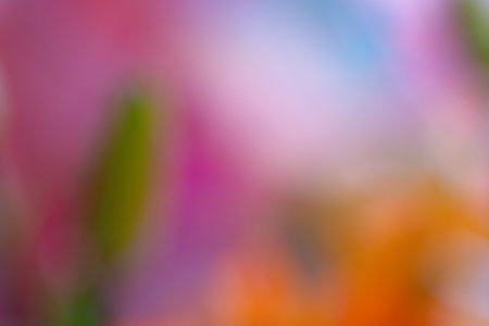 Nice multicolored abstract background for crew ideas and inspiration of lifeの写真素材