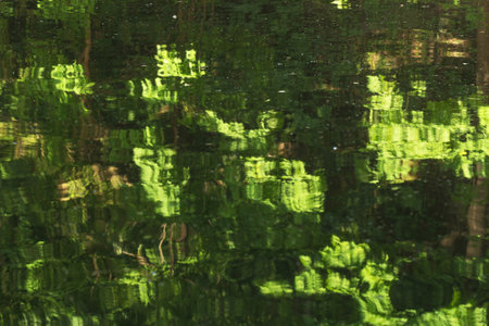 Real pretty reflections of greenery in summer day deep waterの写真素材
