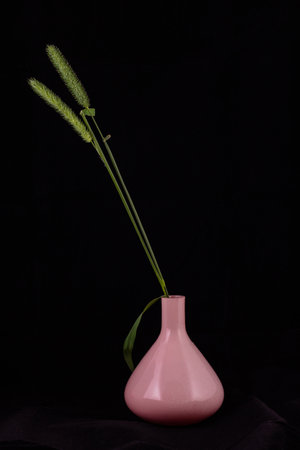 Real pretty blade of grass in pink vase on black backgroundの写真素材