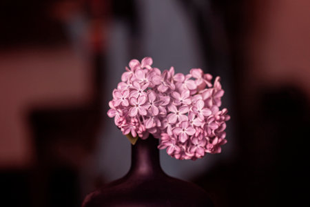 Real pretty fresh flowers of blooming soft purple spring lilacの写真素材