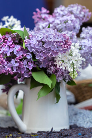 Pretty fresh branches of purple and white lilac in white jugの写真素材
