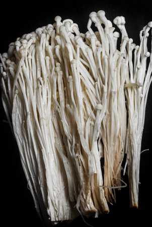 Real original fresh enoki mushrooms for eating on black background