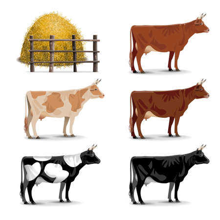 Cow Iconsのイラスト素材