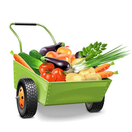 Vector Wheelbarrow with Vegetables isolated on white backgroundのイラスト素材