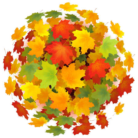 Leaves Sphere isolated on white backgroundのイラスト素材