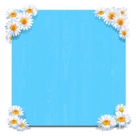 Vector Blue Wooden Board with Camomiles isolated on white backgroundのイラスト素材