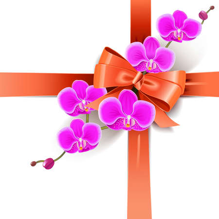 Vector Decorative Bow with Orchids isolated on white backgroundのイラスト素材