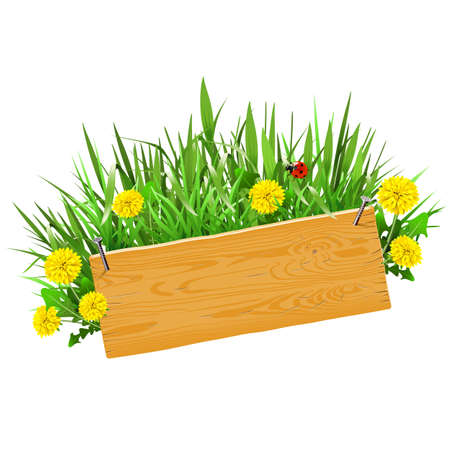 Vector Wooden Plank with Grass isolated on white backgroundのイラスト素材