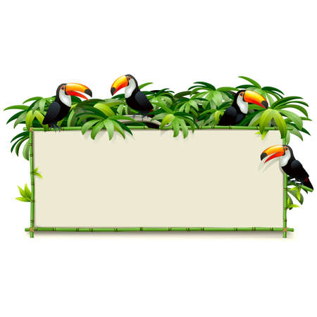 Vector Green Bamboo Board with Toucans isolated on white backgroundのイラスト素材