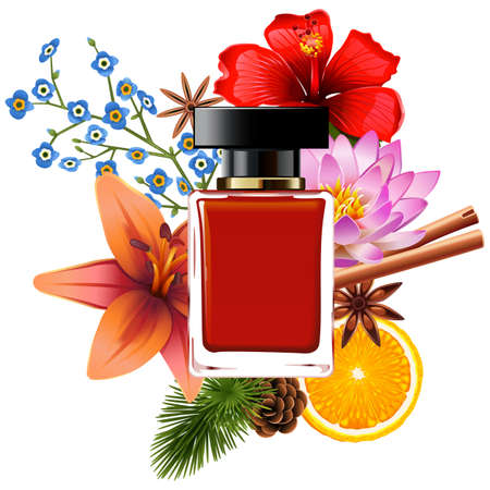 Vector Perfume with Ingredients isolated on white backgroundのイラスト素材