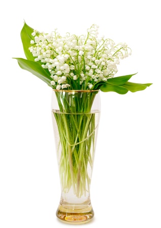 bouquet of lilies of the valley in glass vase on a white backgroundの写真素材