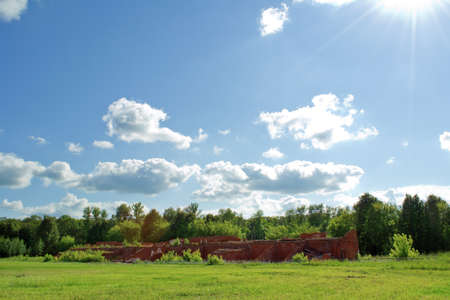 summer landscapeの写真素材