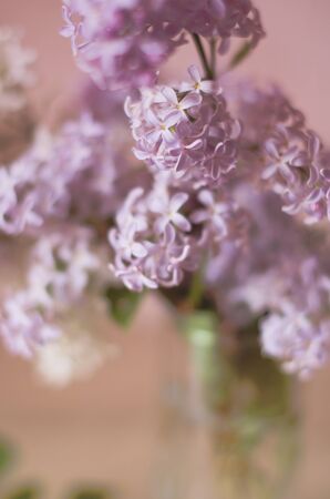 Still life with lilacsの写真素材